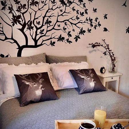 Jodla I Modrzew Apartment Jelenia Góra Екстериор снимка