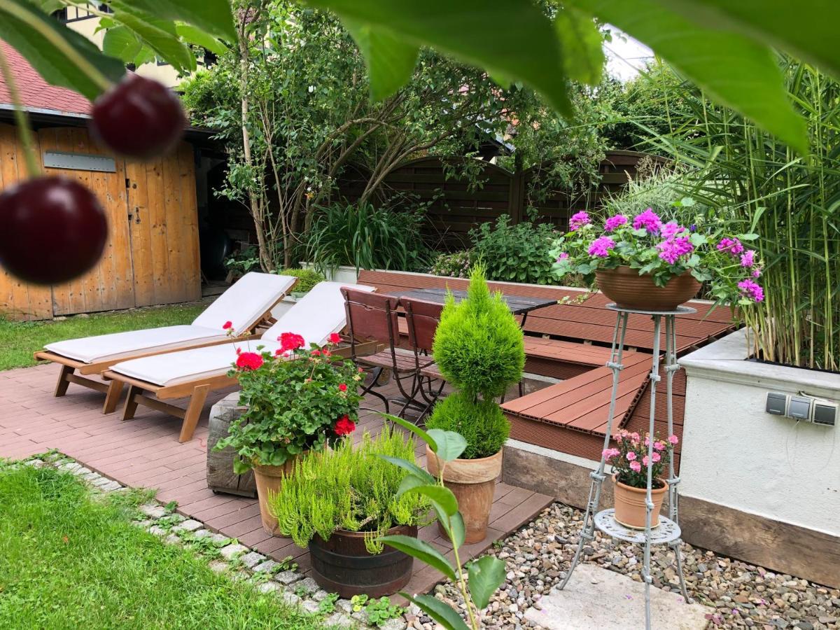 Jodla I Modrzew Apartment Jelenia Góra Екстериор снимка