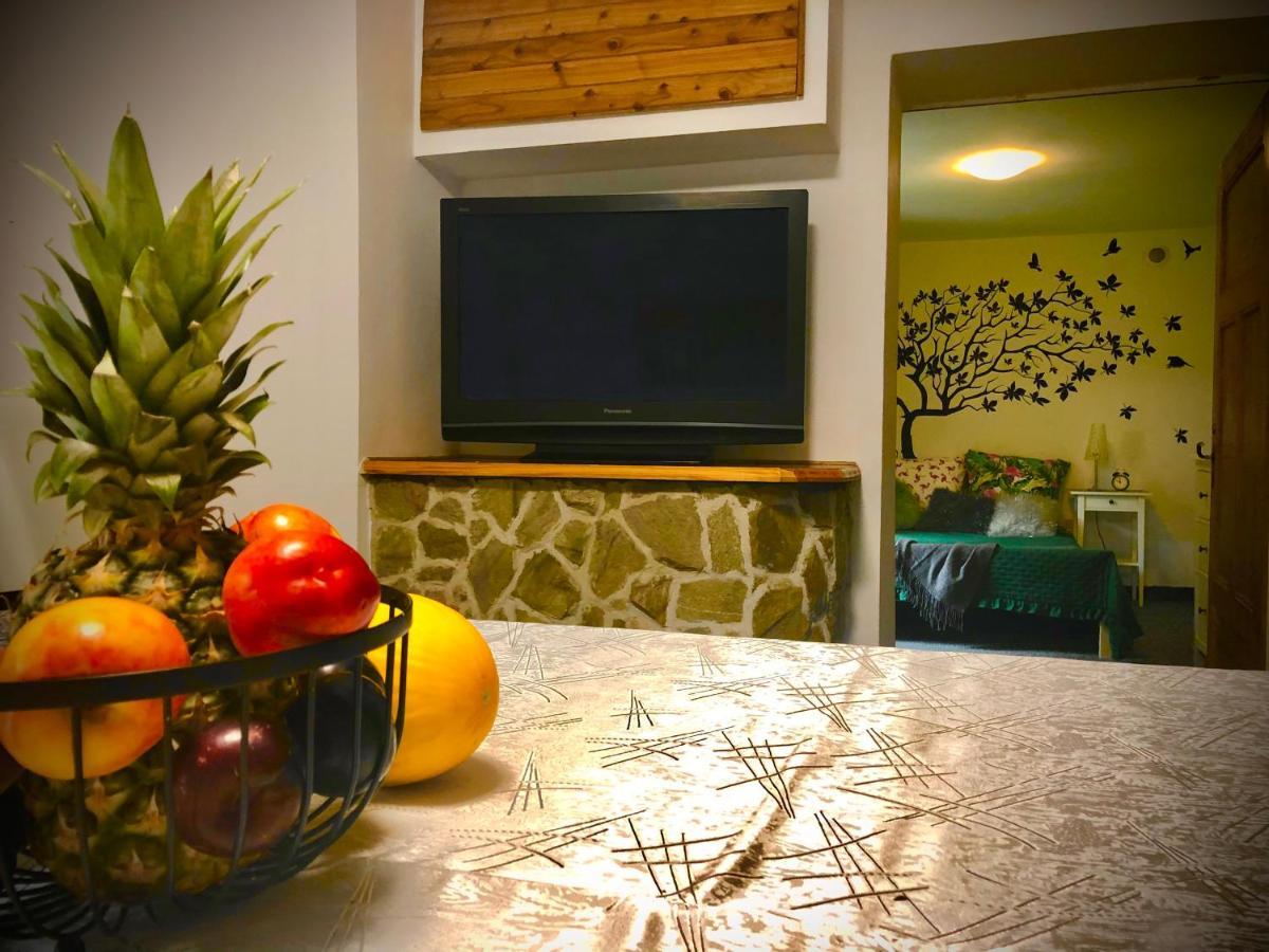 Jodla I Modrzew Apartment Jelenia Góra Екстериор снимка