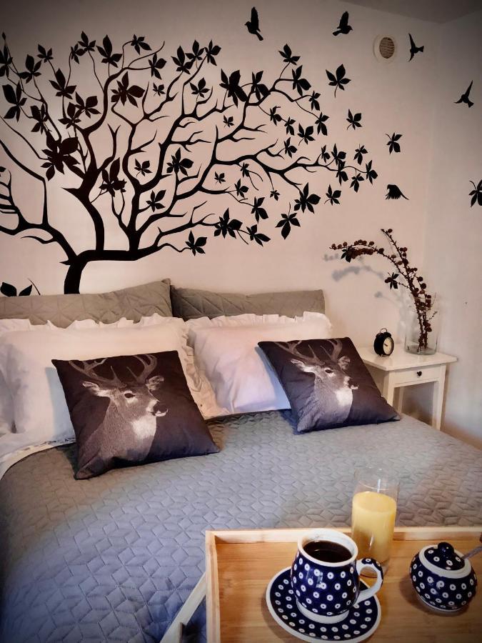 Jodla I Modrzew Apartment Jelenia Góra Екстериор снимка